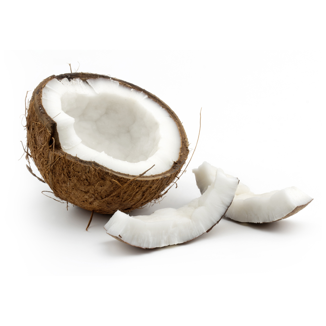 Coconut