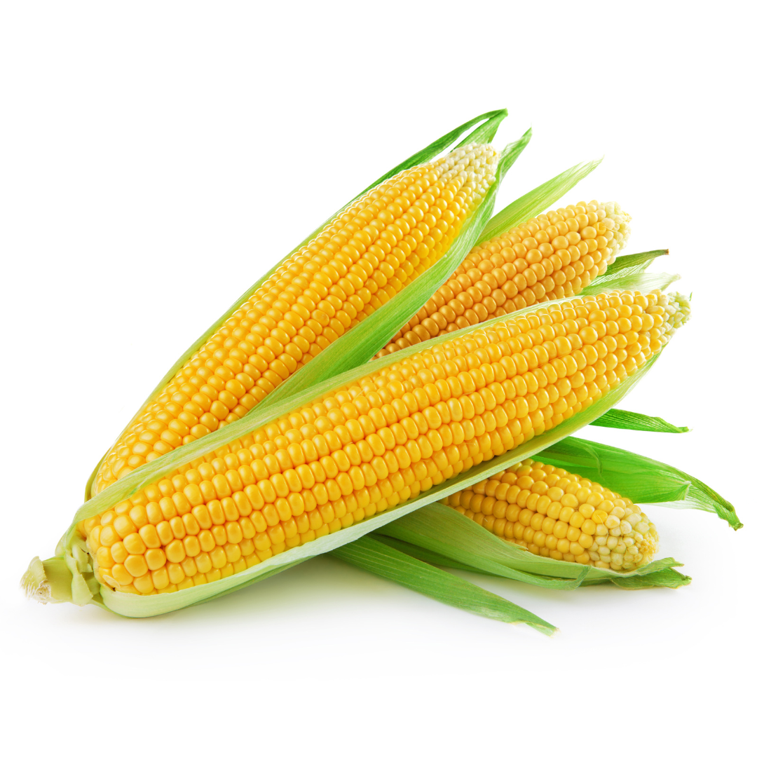Corn