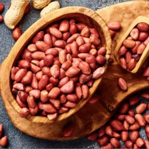 Bold Peanut 60/70 Seed